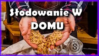 Sł&oacute;d za p&oacute;ł ceny? Jak zrobić sł&oacute;d w domu? 🌱