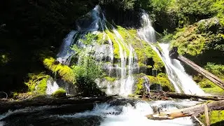 🛀 Nature&rsquo;s White Noise: 4 Hours of Primeval PNW Waterfalls & Forest Solitude 🌊