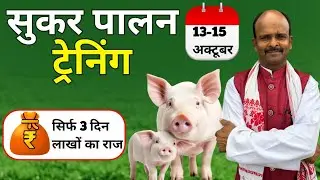 सिर्फ 3 दिन,लाखों की कमाई का राज़ | 3 दिन में सूकर पालन का मास्टर बनें &ndash; ट्रेनिंग स्पेशल&rdquo;