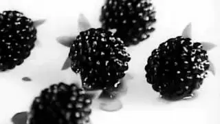 Beech-Nut Lifesavers Candies - Fancy Fruit