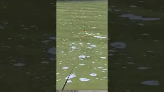 incredible Hook fishing 🎣