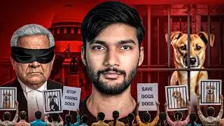 Most Logical Solution To Stray Dog Problem