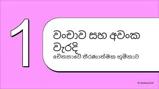 SLAuS 240- The Auditor's Responsibilities Relating to Fraud in an Audit of F/S විගණකවරයාගේ වංචා දඩයම