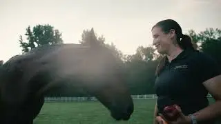 Life in the Stables: Horse Care at Medieval Times