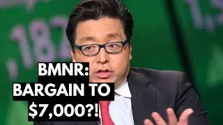 TOM LEE: BMNR STOCK BARGAIN TO $7,000 AFTER THIS?❗IF YOU OWN MORE THAN $5,000 OF BMNR STOCK, LISTEN❗