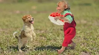 Monkey Bon & Moon Use Fruit to Make Friends – Will Puppy Say Yes ? 🍎🐶
