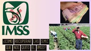 ¡EL IMSS QUITA LAS SEMANAS COTIZADAS¡ (PASOS PARA RECUPERARARLAS )