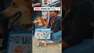 Jaipur me dog protest | Stray Dogs ke liye awaaz | #adoptdontshop #straydogs #shorts