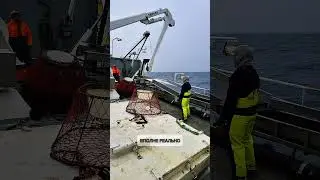 Хочешь знать больше ? Посмотри бесплатный урок в BIO #жизньвморе #работавнорвегии #краболов