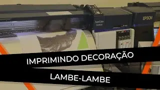 Impressão Ecossolvente EPSON S40600 | Papel de Parede Estilo Lambe Lambe | Portal O Impressor