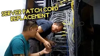 PAANO MAG PALIT NG PATCH CORD SA SERVER | #electrical #datacabling