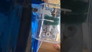 Cara Modifikasi Filter Gantung|Hang On Filter Modification #aquarium #predatorfish #indonesia #ikan