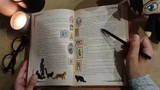 ASMR 