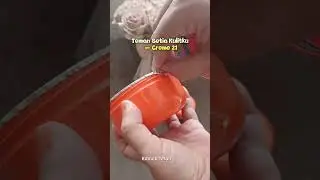 Creme 21 Asli Buatan Jerman &mdash; Kulit Lembut & Sehat Setiap Hari!