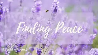 Rooted + Rested | Salt & Light Box &ndash; Christian Self-Care & Peace to Rest with God
