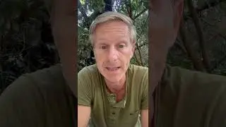Gaza: genocidio o pulizia etnica?