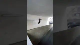 INSANE PARKOUR LINE over height😳
