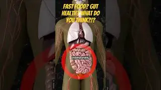 Is Fast Food Wrecking Your Gut? #guthealth