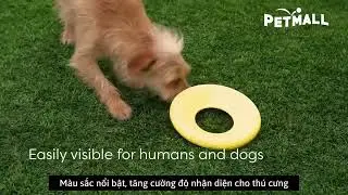 PETMALL EARTH | Earth Rated Fly Toy Small Size - H&igrave;nh tr&ograve;n