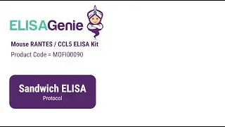 Mouse RANTES / CCL5 ELISA Kit (SKU: MOFI00090) - ELISA Genie
