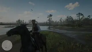 Red Dead Redemption 2 Gameplay