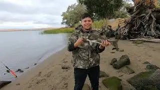Fishing Rio Vista for Stripers / Striped Bass