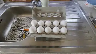 Vlogmas 5 - Le uova anemiche 🥚🐣