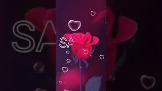 Sajida name status