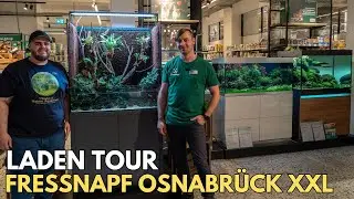 Aquarium Ladentour: Seltene Fische & schöne Schauaquarien beim Fressnapf Osnabrück XXL