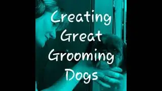 Working On Calm and Observing Behavior Ep2
