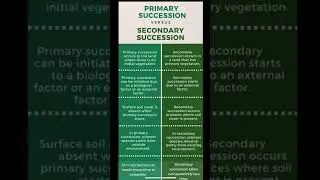 Types of succession