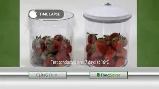 Foodsaver FFS005 Vacuum Sealing System with Roll Storage
