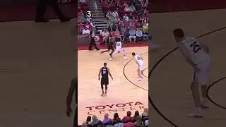 The best 2019 james harden ankle breakers🦵 Did I miss any? ⚠️NO ANKLES WERE ACTUALL