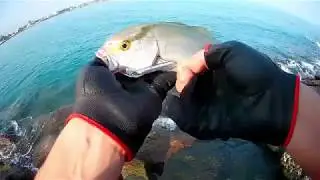 LRF TEAM AKYA AVI - Savage Gear Slim Minnow Jig - Light Rock Fishing