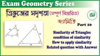 similarity of triangles in bengali By Classes With Neel