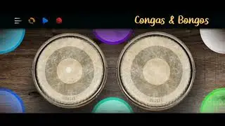 Congas & Bongos Performance | Twenty Eight January