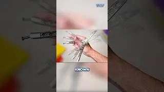 Top 3 Most Dangerous & Deadly Knives in the World #shorts