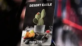 Darkside Desert Eagle & Starline Tanger Splash | Taugen die neuen Flavour ?