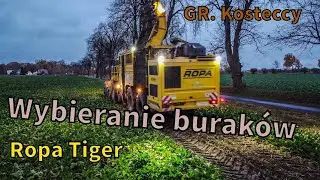 ⭐Kampania Buraczana ⭐ Kopanie Buraków ⭐ Ropa Tiger 6 ⭐ Wtopa ⭐ Odwóz na 2 zstawy⭐ GR. Kosteccy⭐