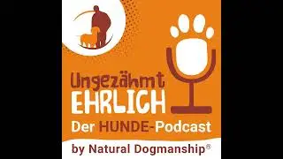 Nachgefragt #3 - Apportieren, Rassehunde artgerecht Besch&auml;ftigen & die Frage nach dem Warum