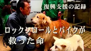 クールス（COOLS） 佐藤秀光｜ロックンロールとバイクが救った命福島原発事故・被災犬救助・復興支援の記録