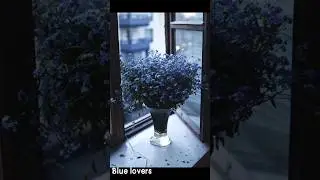 blue lovers #esthetic #blue #bluelovers
