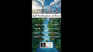 Self Purification of River | Stages of Self Purification | Environmental Engg | Simplified Learning