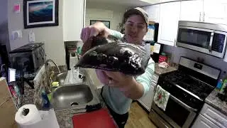 CATCH CLEAN COOK: Flounder Ep 73