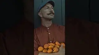 &Kappa;ά&mu;&pi;&omicron;&sigmaf; &Chi;ί&omicron;&upsilon;, 26 &Mu;&alpha;&nu;&tau;&alpha;&rho;ί&nu;&iota;&alpha;