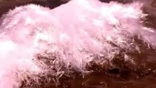Cool: Ice Needles On A Beach In Minnesota