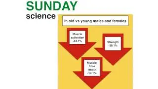 Sunday Science 4.12.16 - Ageing and muscle