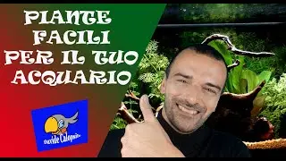 PIANTE BELLE E FACILI PER ACQUARIO