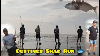 Канал для чеканки 🌊Shad Action🐟🎣