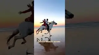 couple horse riding galloping & bareback at sea beach #horseriding#galloping#coupleriders#viralvideo
